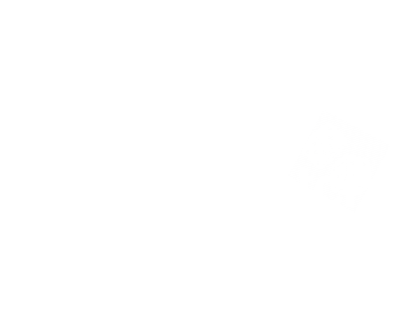MeetToMatch LV Edition 2024 no background