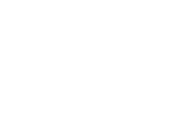 MeetToMatch Bangkok Text Logo 2025
