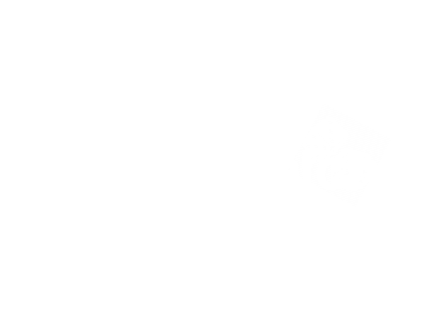 MeetToMatch Flagship Las vegas Text Logo 2026